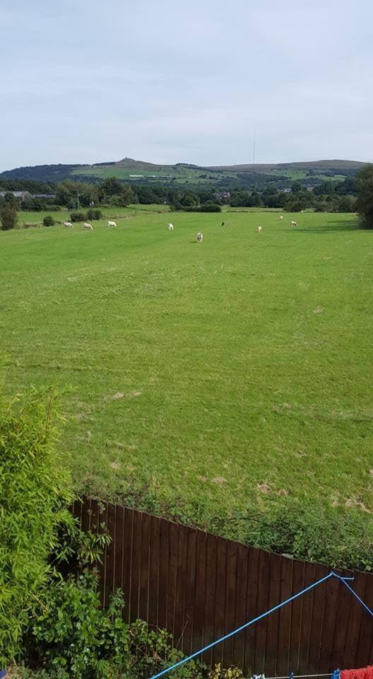 Additional image 18 of Owsten Court, Horwich, Bolton