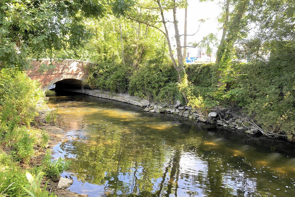 Additional image 29 of Otter View, Stubbings Meadow, The Bridges, Ringwood, Hampshire