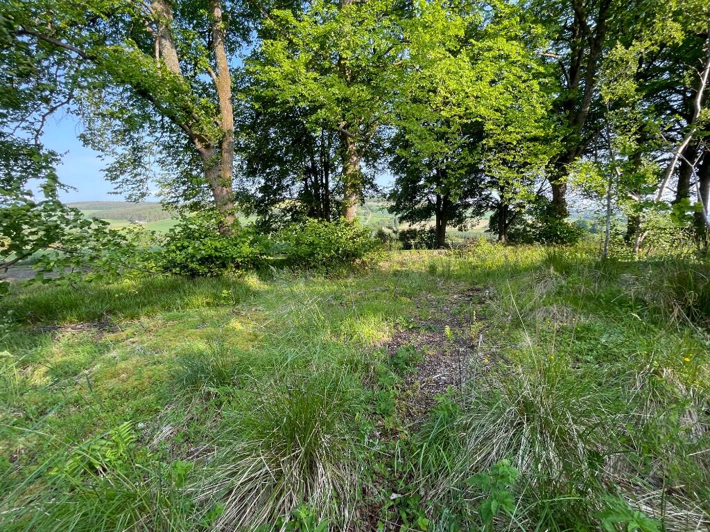 Additional image 4 of Woodland at Former Boharm Church, Mulben, Keith, AB55 6XP
