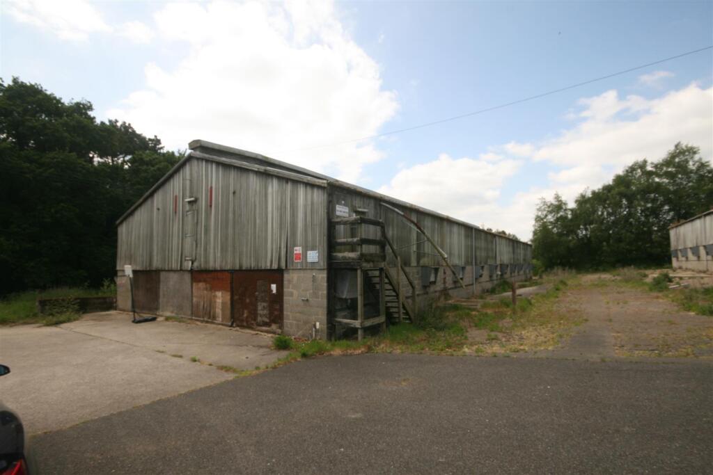 Additional image 3 of Chamberlaynes, Bere Regis, Wareham
