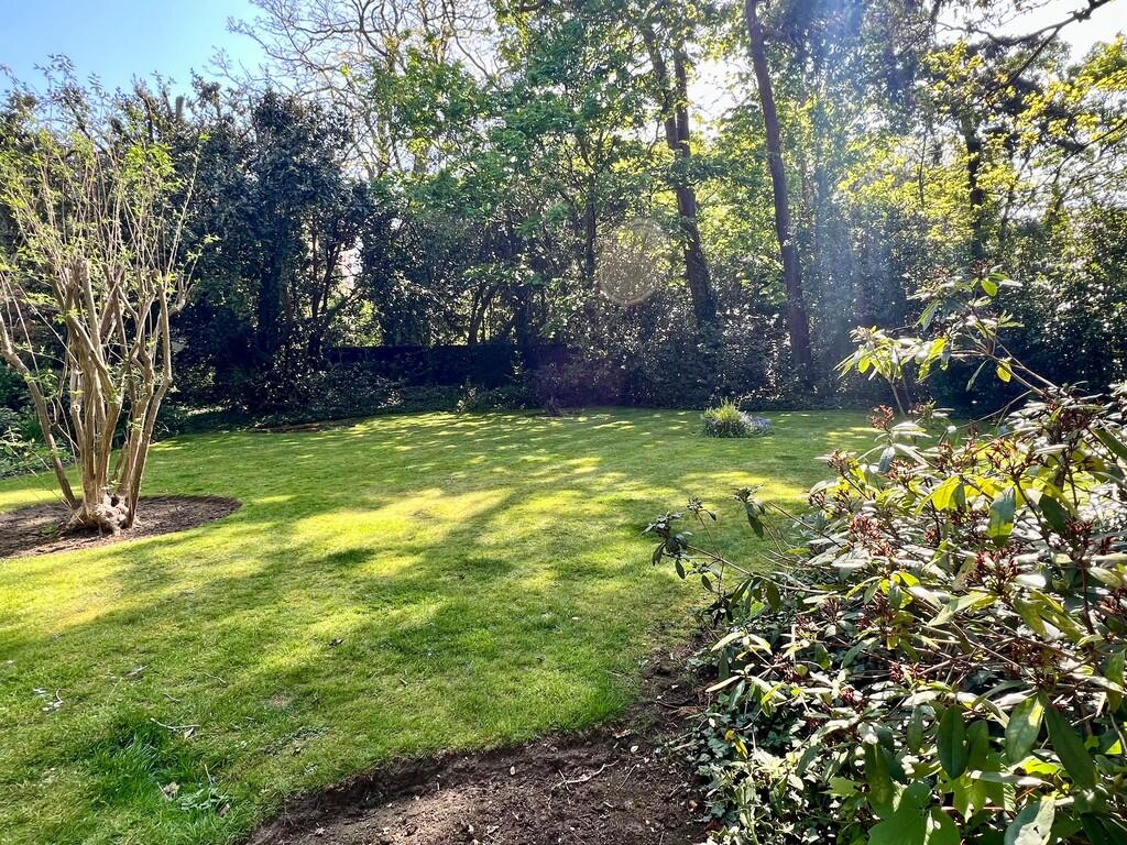 Additional image 15 of Richmond Park Road, Bournemouth