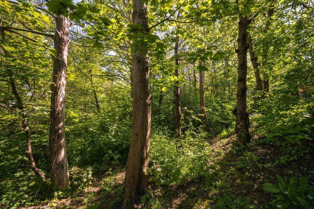 Additional image 21 of Highsted Park, Peacehaven