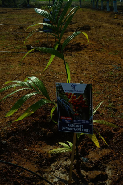 Additional image 3 of Annur, Coimbatore