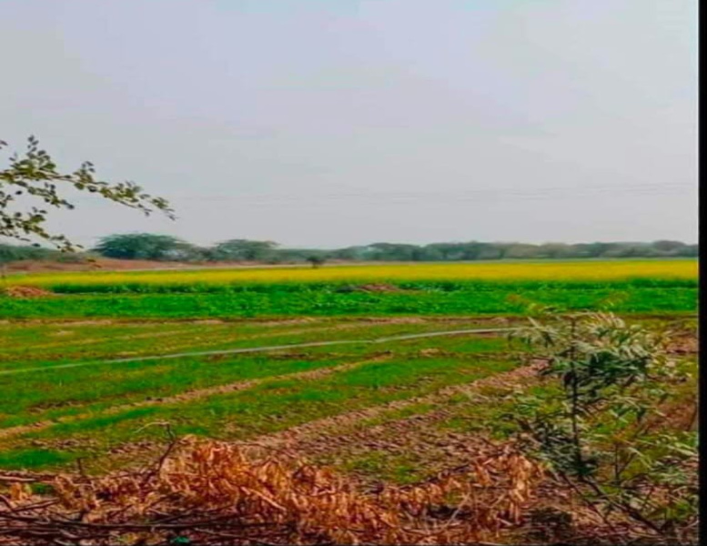 Additional image 2 of Jagatpura, Jaipur