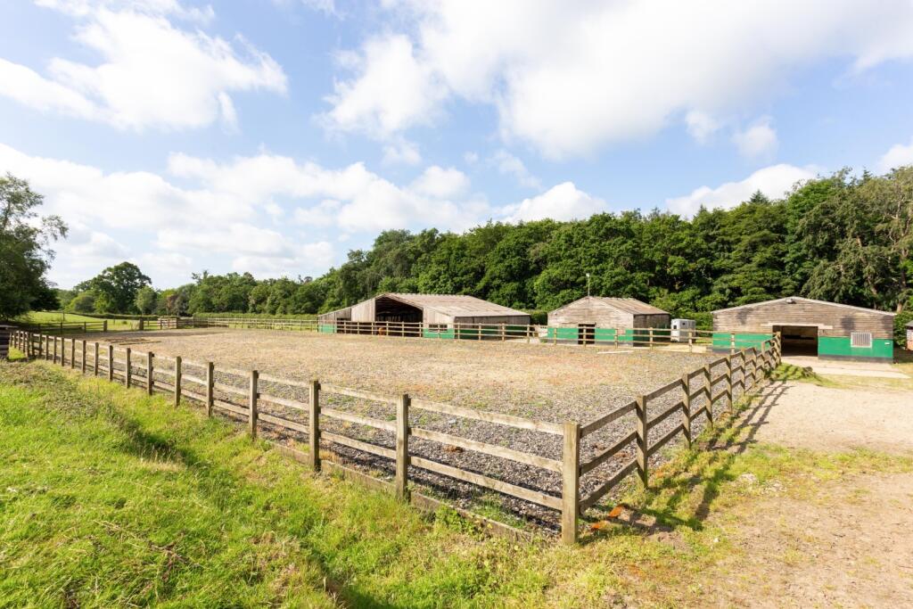 Additional image 33 of Moyles Court, Rockford, Ringwood, Hampshire, BH24