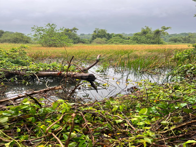 Additional image 2 of Colvale, Goa