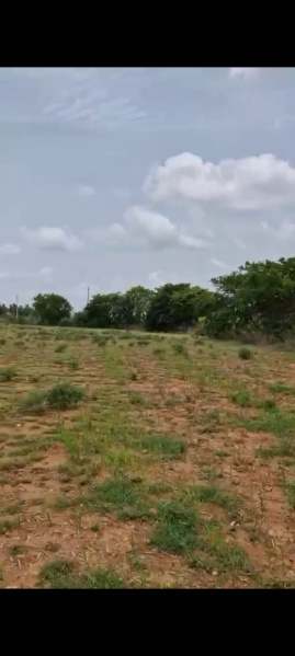 Additional image 3 of Doddaballapur, Bangalore