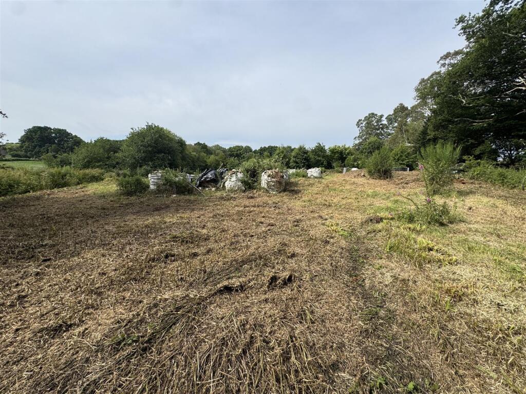 Additional image 5 of Wimborne