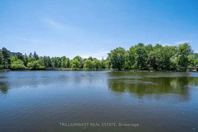 Additional image 36 of 51 David St Unit 206