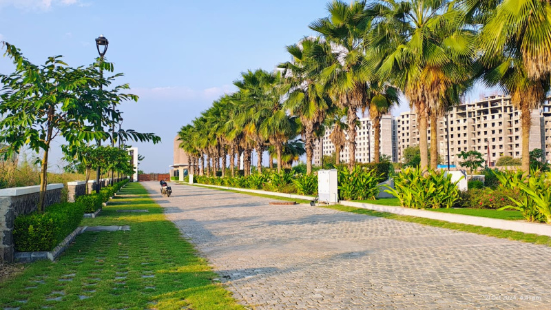 Chhota Bangarda, Indore