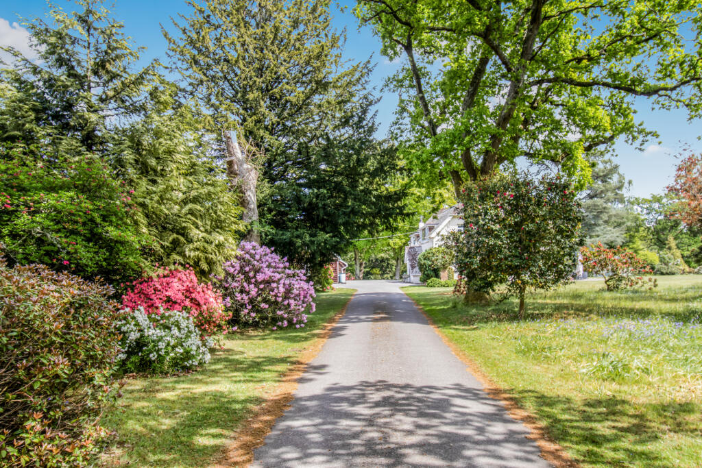 Additional image 42 of Highwood, Ringwood, Hampshire, BH24