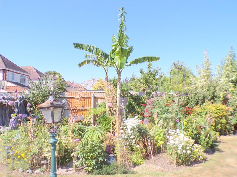 Additional image 24 of West Way, Bournemouth