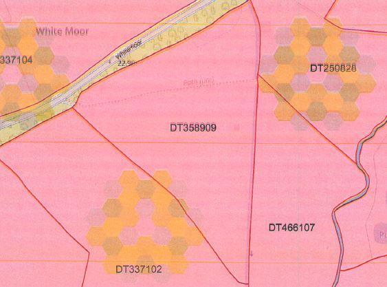 Additional image 10 of Whitemoor, Holt, Wimborne