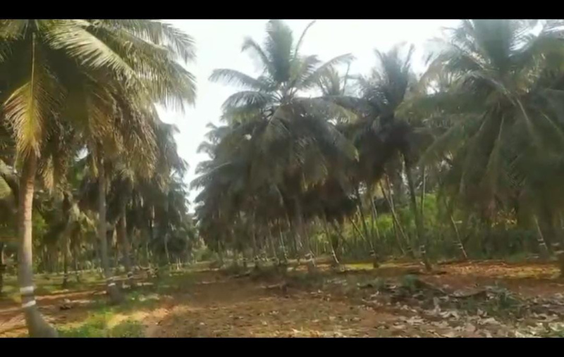 Additional image 3 of Nanjungud Road, Mysore