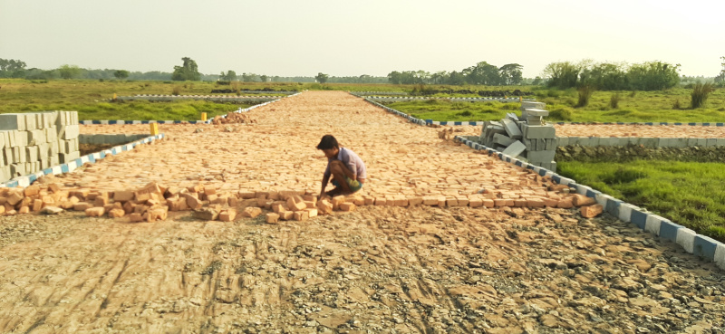 Additional image 2 of Thakurpukur, Kolkata