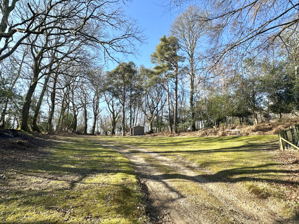 Additional image 4 of Highwood, Ringwood, BH24