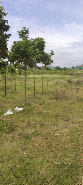 Additional image 3 of Chikkaballapur, Bangalore