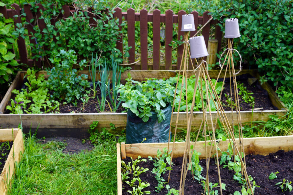 Additional image 31 of Cann Street, Tottington, Bury, Greater Manchester, BL8 3PF