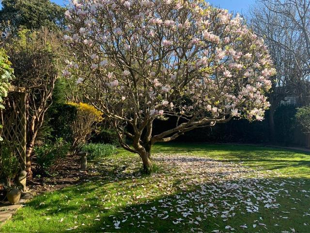Additional image 24 of Elm Close, Seaford