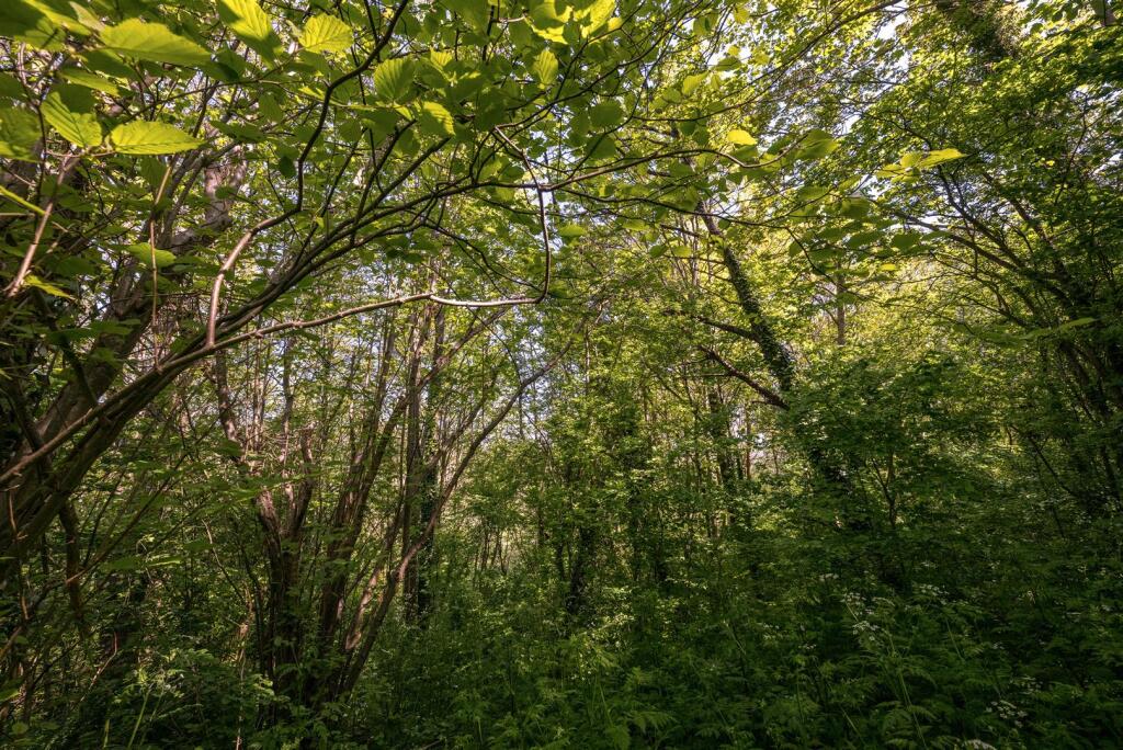 Additional image 20 of Highsted Park, Peacehaven