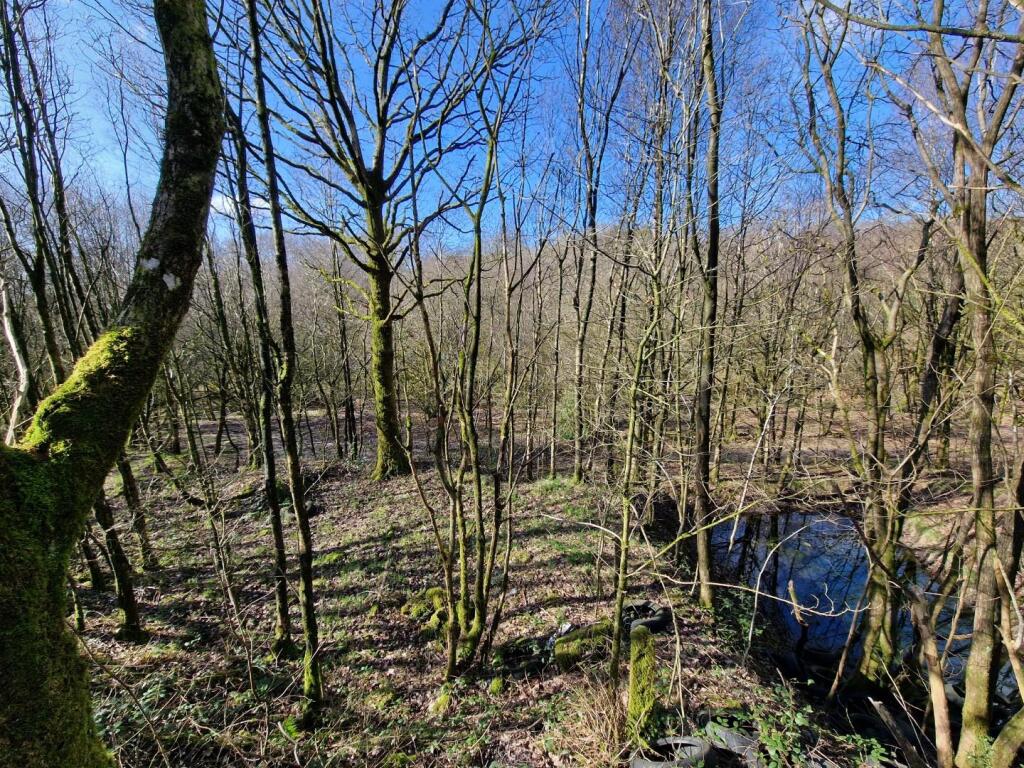Additional image 12 of Land at Bevis Green Works Mill, Bury, BL9 6RE