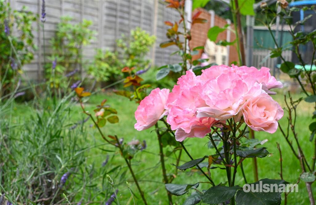 Additional image 20 of Pargeter Road, Bearwood, West Midlands, B67