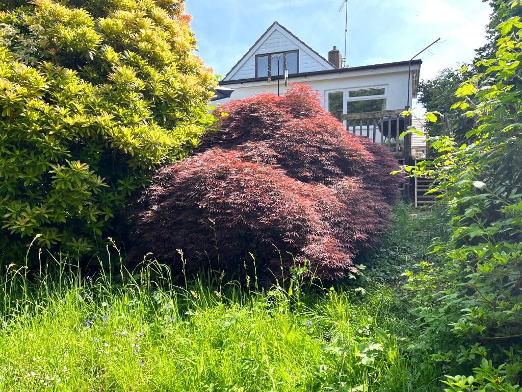 Additional image 17 of Springbrook Close, Harmans Cross, BH20