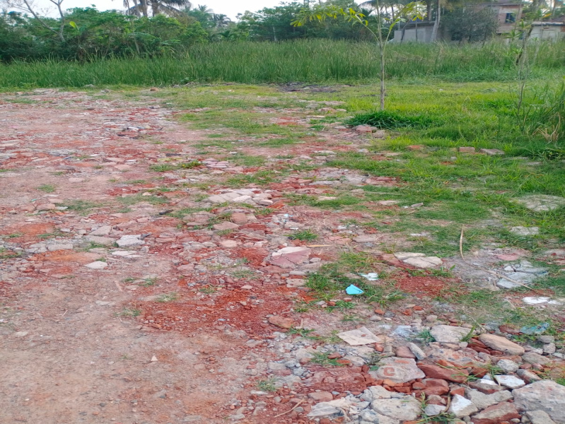 Additional image 3 of Joka, Kolkata