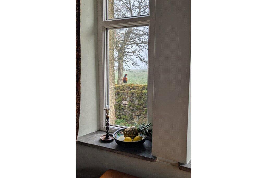 Additional image 27 of The Mission Room, Green Lane, Halton East, Skipton, BD23 6EH