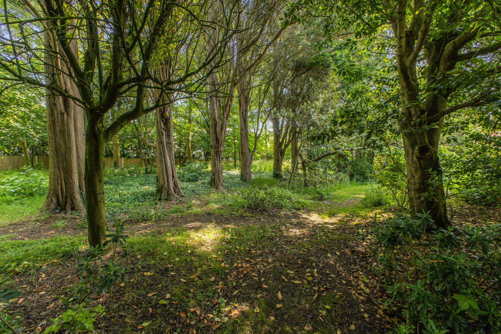 Additional image 22 of Climping Street, Littlehampton, BN17