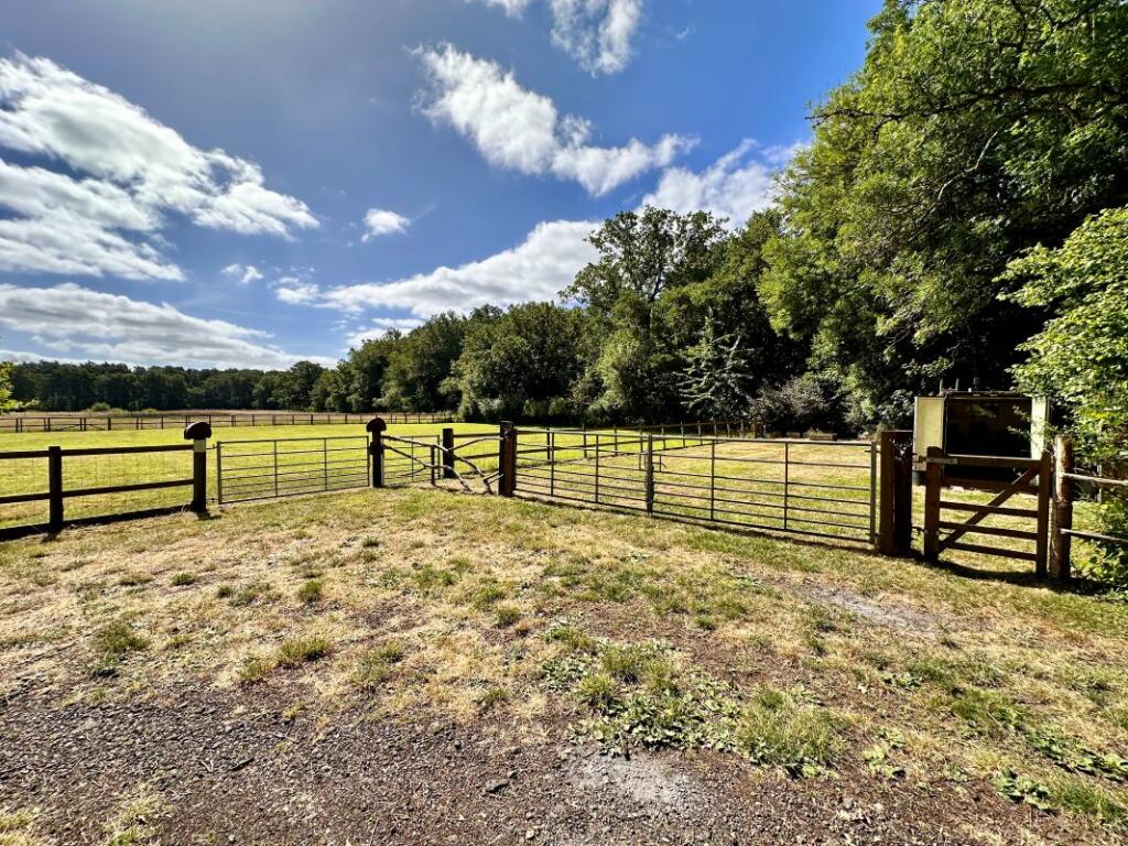 房产图片 14 - 威廉斯林地，Uddens Drive，温茂尔，多塞特，BH21 7BQ