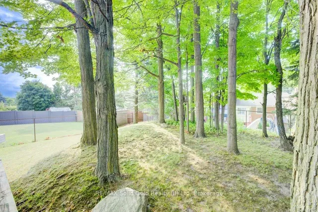 Additional image 31 of 71 Ripley Cres