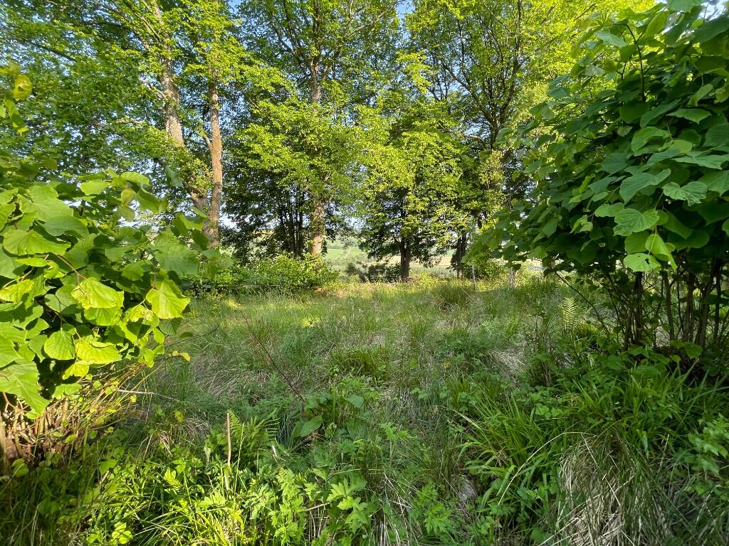 Additional image 3 of Woodland at Former Boharm Church, Mulben, Keith, AB55 6XP
