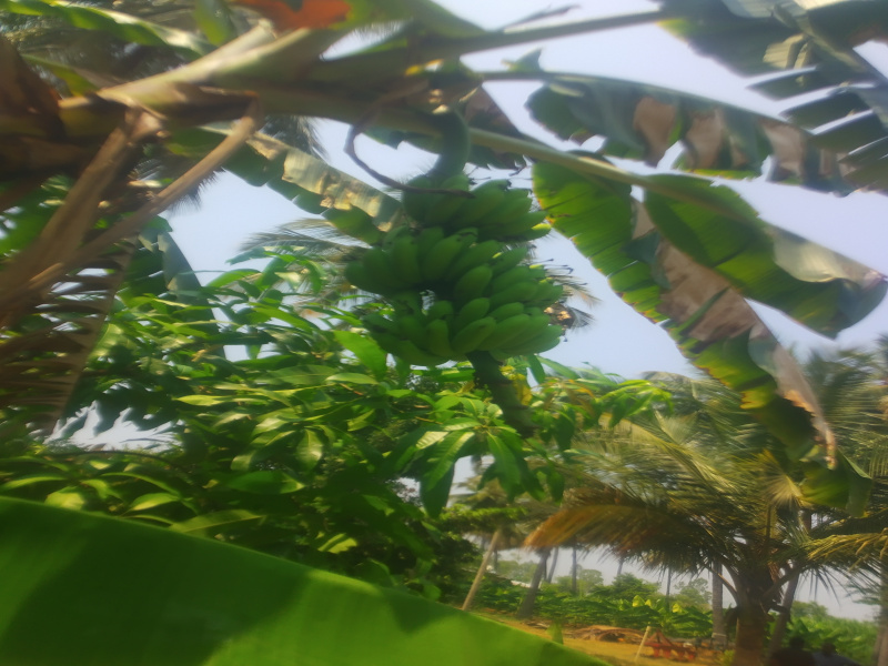 Karamadai, Coimbatore