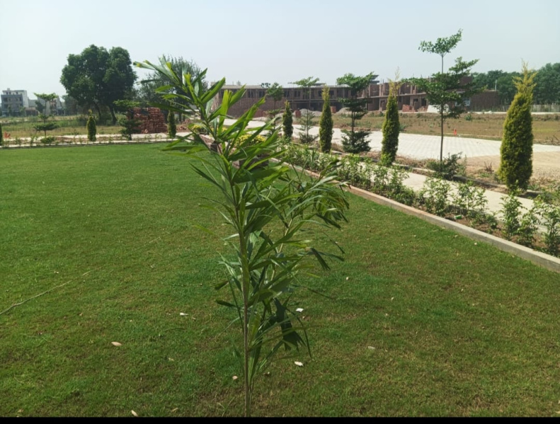 Additional image 3 of Hoshiarpur Road, Jalandhar
