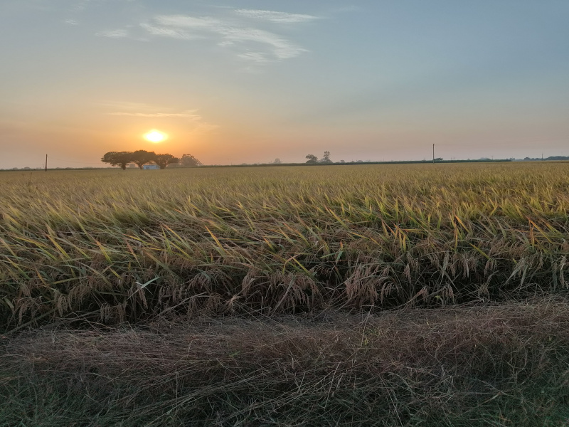 Additional image 2 of Machhiwara, Ludhiana