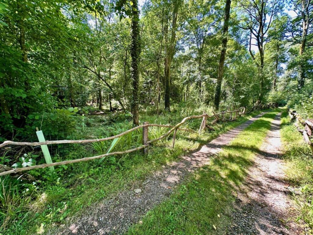 房产图片 6 - 威廉斯林地，Uddens Drive，温茂尔，多塞特，BH21 7BQ