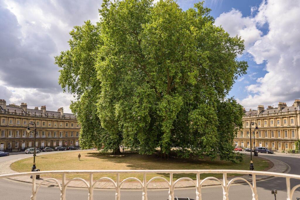 Additional image 14 of The Circus