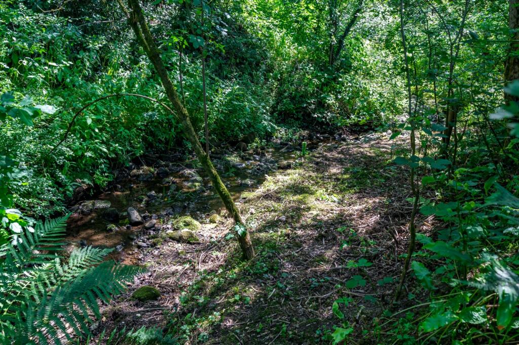 Additional image 46 of Wigan Road, Westhoughton, Bolton, BL5 2