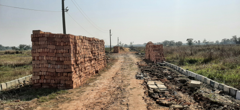 Additional image 3 of Thakurpukur, Kolkata