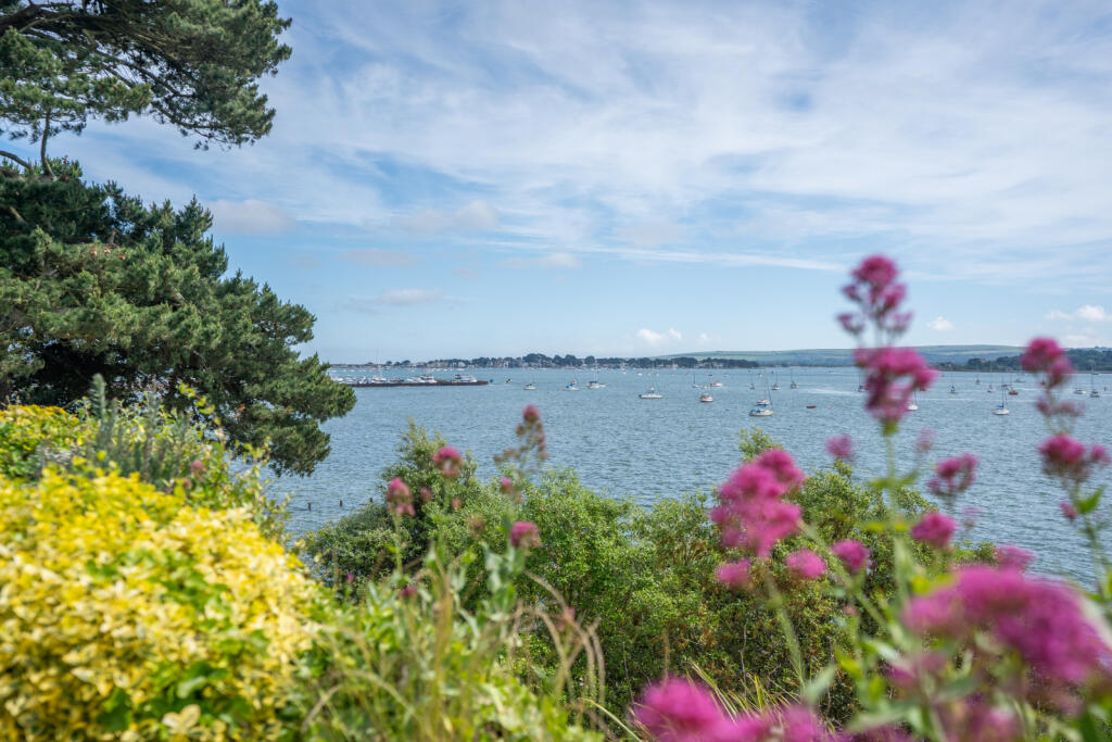 Additional image 30 of Elms Avenue, Lilliput, Poole, Dorset, BH14