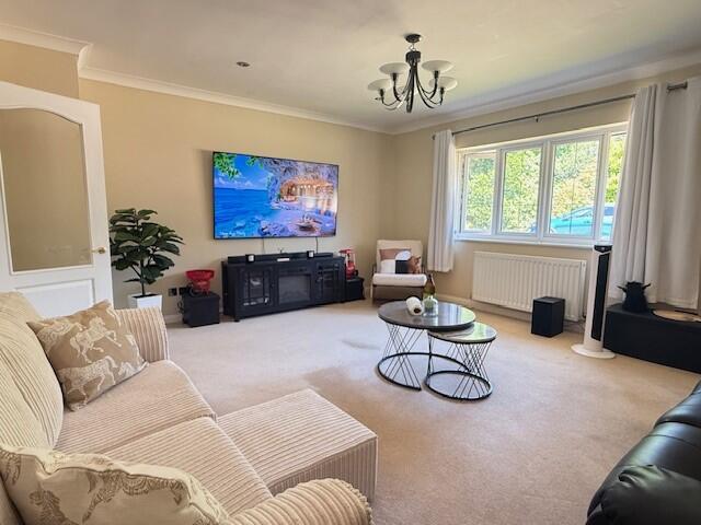 Additional image 10 of Matchams