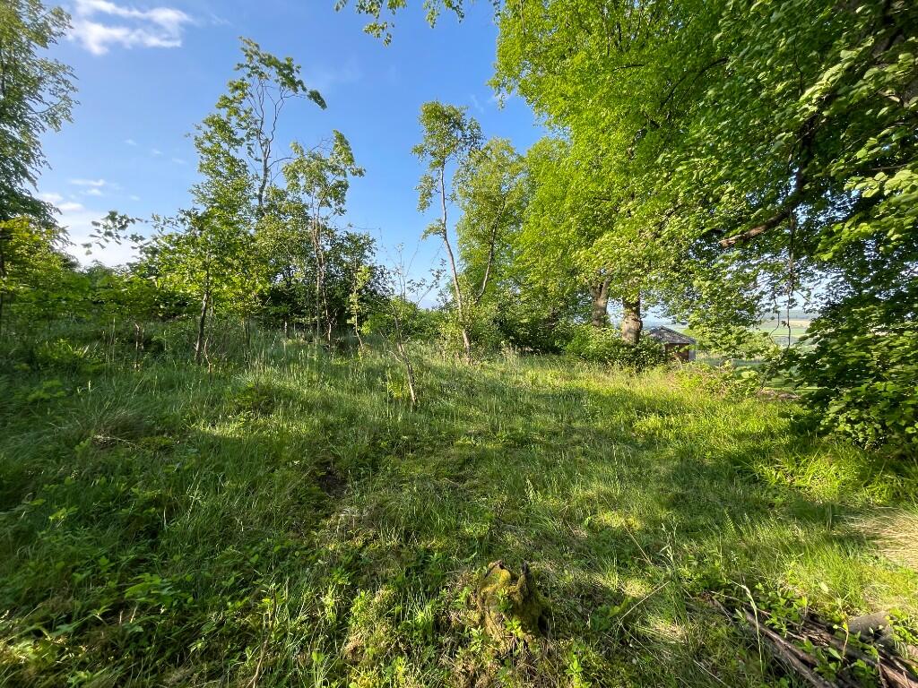 Additional image 6 of Woodland at Former Boharm Church, Mulben, Keith, AB55 6XP