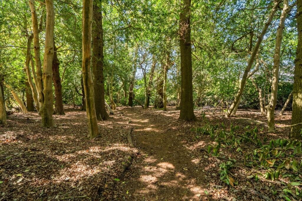 Additional image 6 of Hangersley, Ringwood, Hampshire, BH24