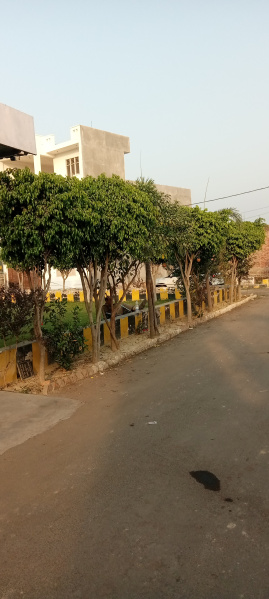 Bijnor Road, Lucknow