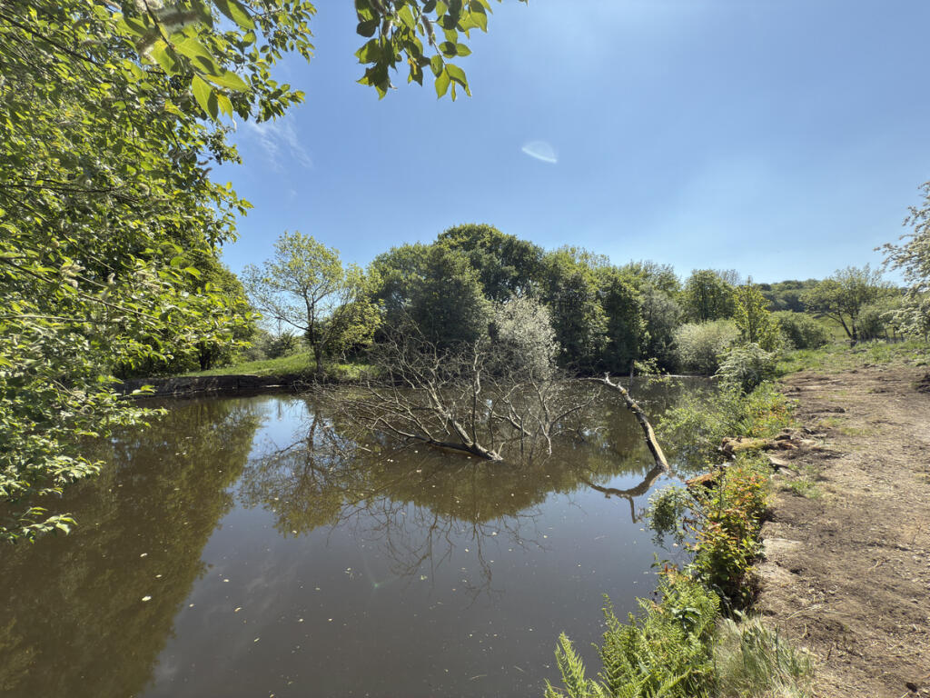 Additional image 4 of Goose Eye Brow, Laycock, BD22
