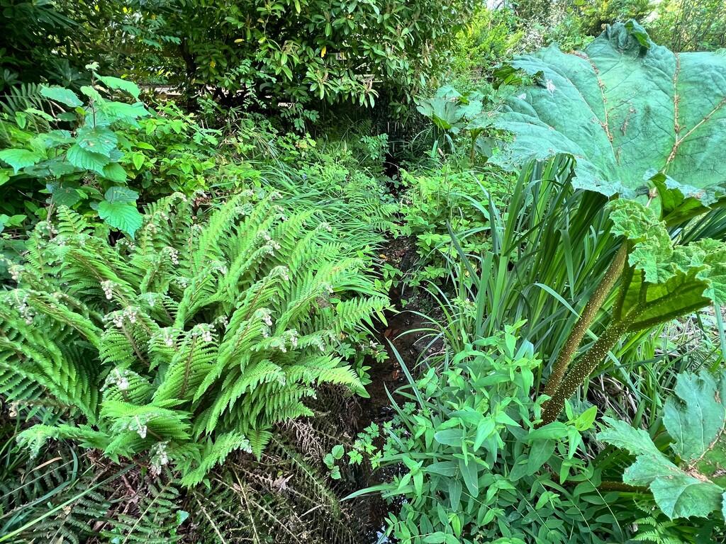 Additional image 31 of Wood Lane, Bournemouth