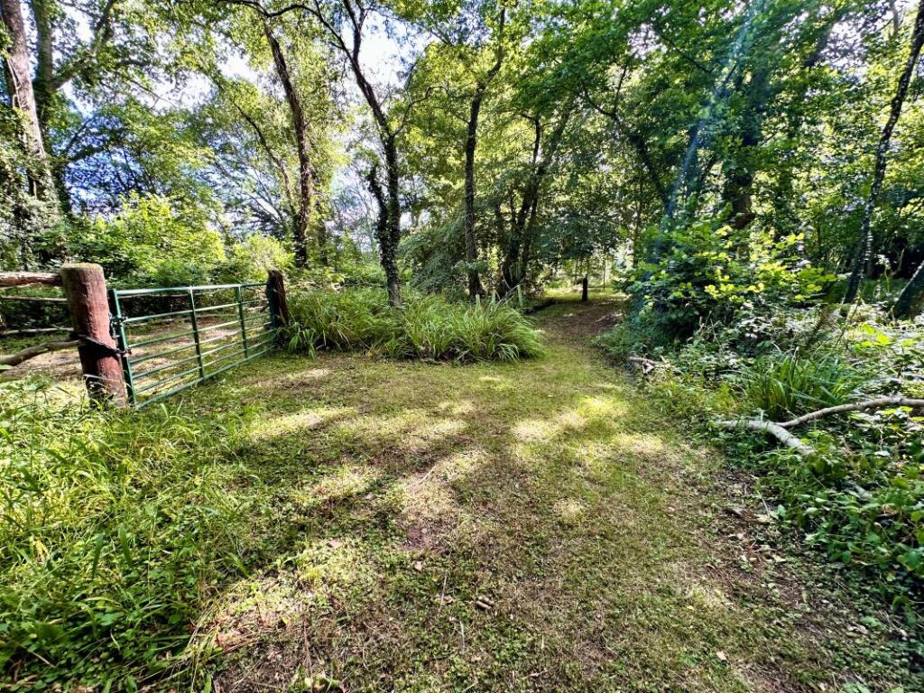 房产图片 13 - 威廉斯林地，Uddens Drive，温茂尔，多塞特，BH21 7BQ