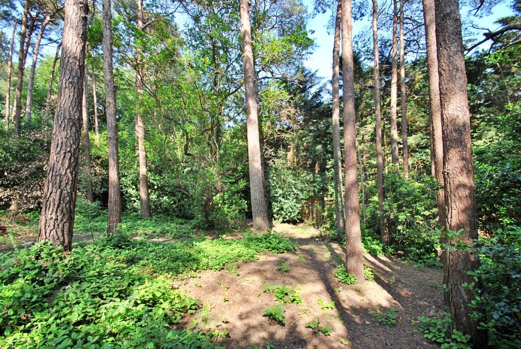 Additional image 32 of Ashwood Drive, Broadstone, Dorset, BH18