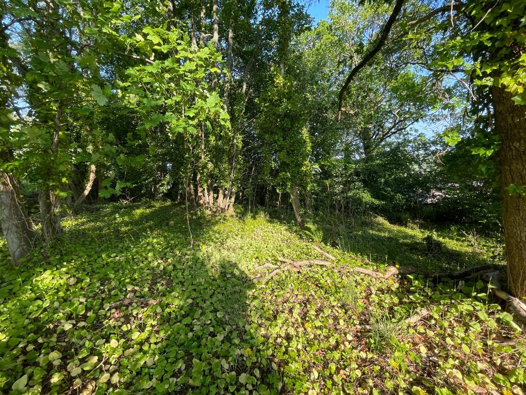 Additional image 7 of Woodland at Former Boharm Church, Mulben, Keith, AB55 6XP